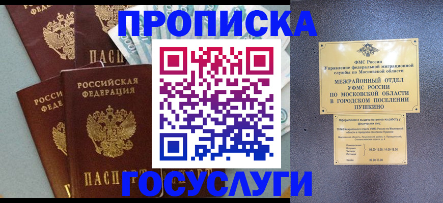 прописка гарантия в Карасуке